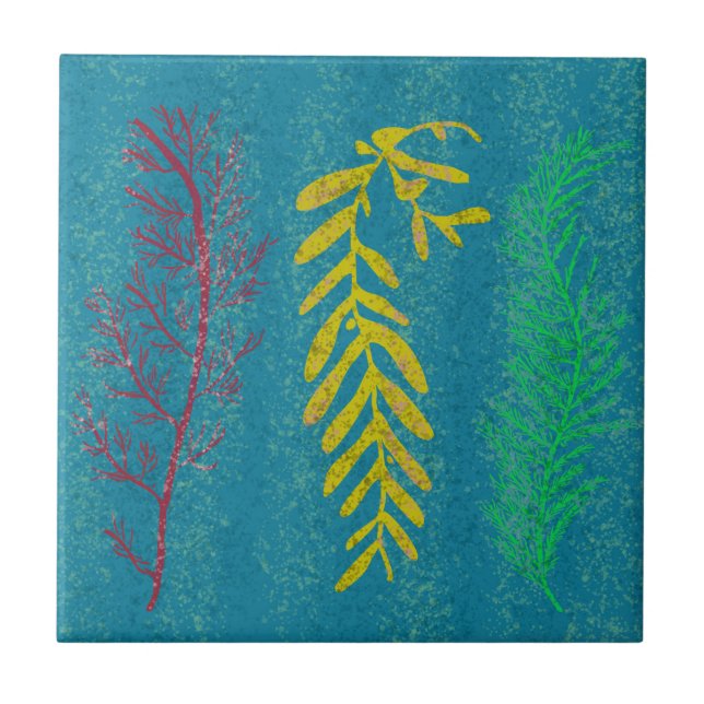 Coastal Seaweed  Tile (Front)