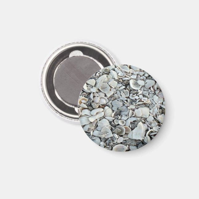 Coastal Shell Drift Pattern Magnet (Front/Back)