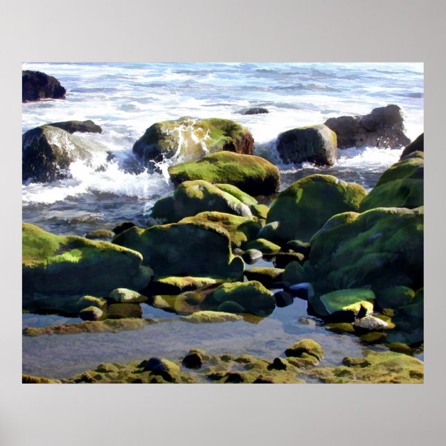 Coastal Tidepools Poster (Front)