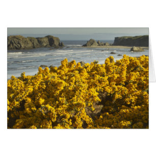 Coastal views, Bandon, Oregon