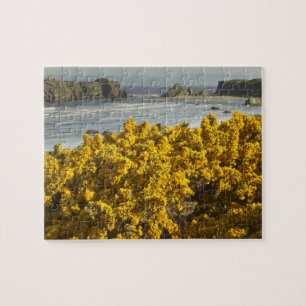 Coastal views, Bandon, Oregon 2 Jigsaw Puzzle
