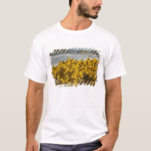 Coastal views, Bandon, Oregon 2 T-Shirt