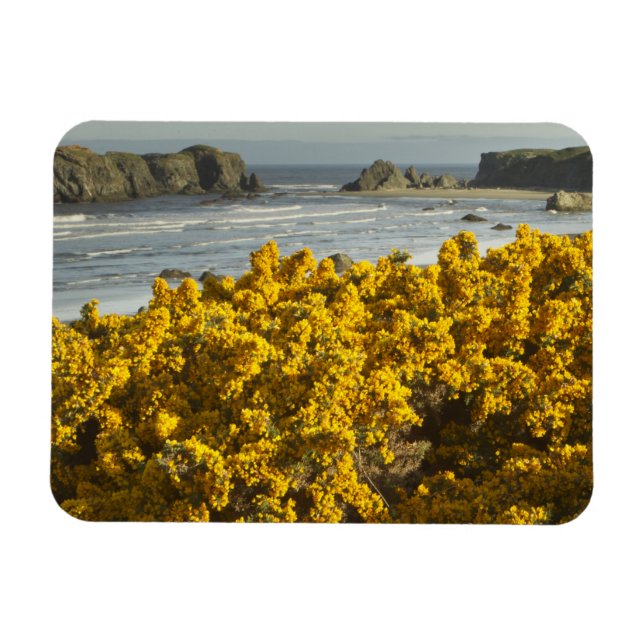 Coastal views, Bandon, Oregon Magnet (Horizontal)