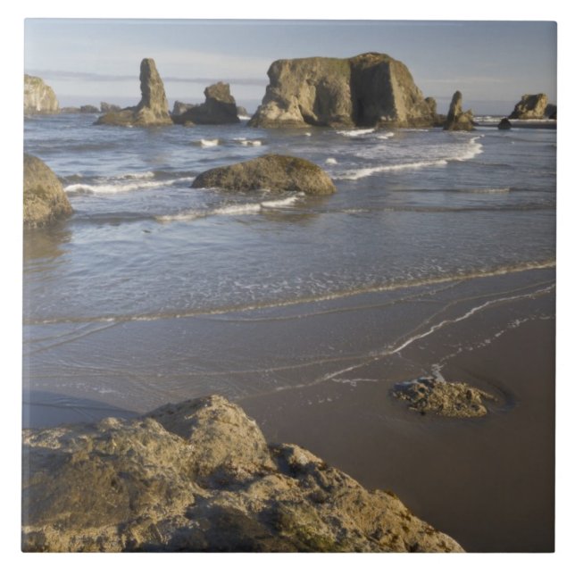 Coastal views, Bandon, Oregon Tile (Front)