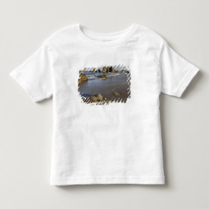 Coastal views, Bandon, Oregon Toddler T-Shirt