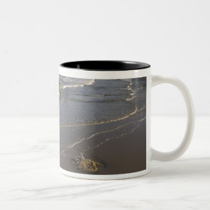 Coastal views, Bandon, Oregon Two-Tone Coffee Mug