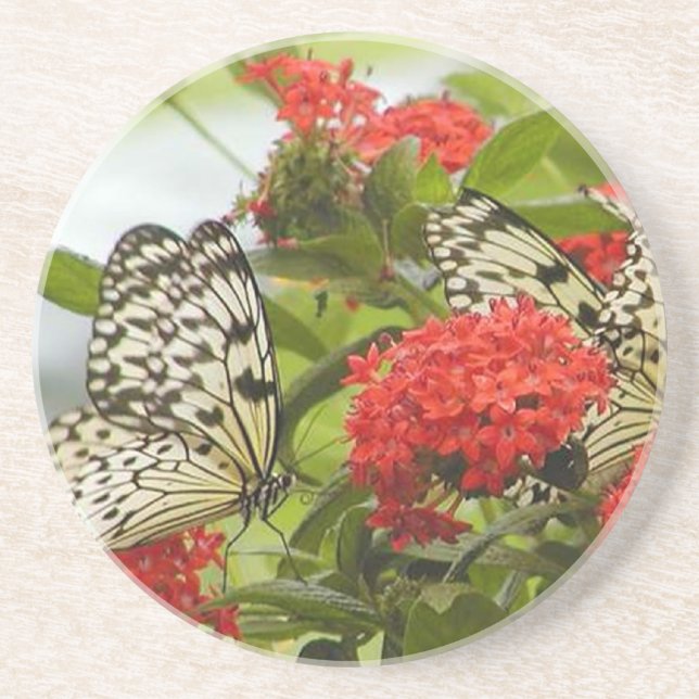 Coaster - Butterflies & Blossoms (Front)