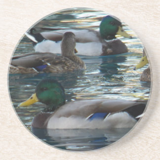Coaster - Duck, Duck, Duck, Duck