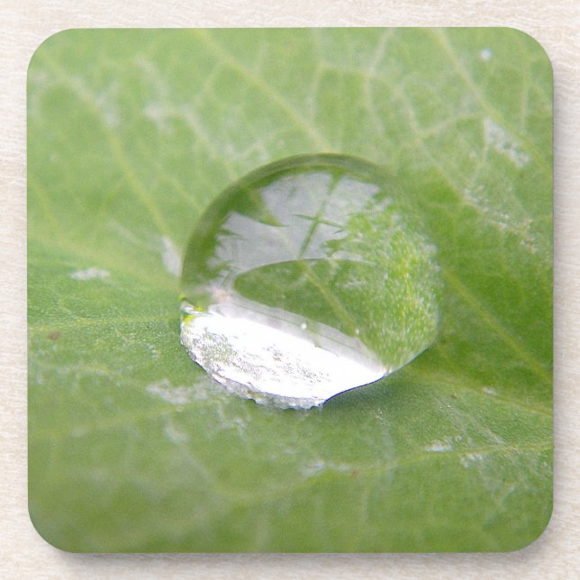 Coaster huge waterdrop on a green leaf (Front)