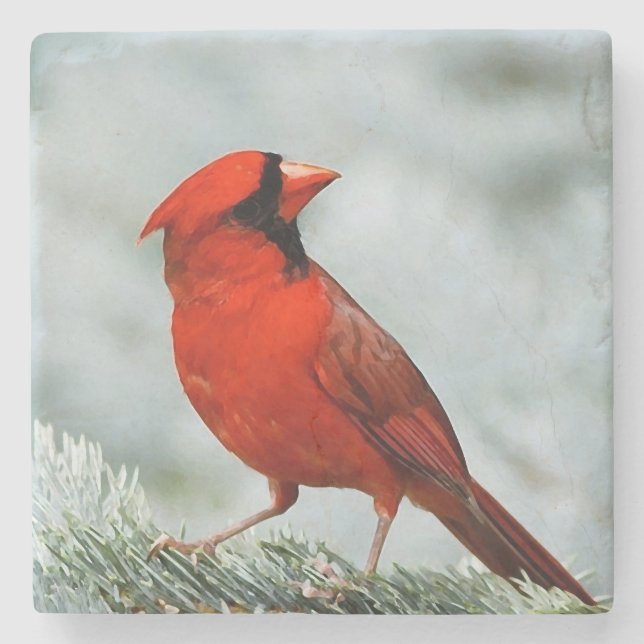_coaster network bird stone coaster (Front)