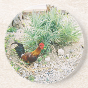 Coaster_Rooster Coaster