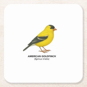 Coaster Set