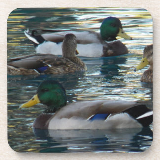 Coaster Set - Duck, Duck, Duck, Duck