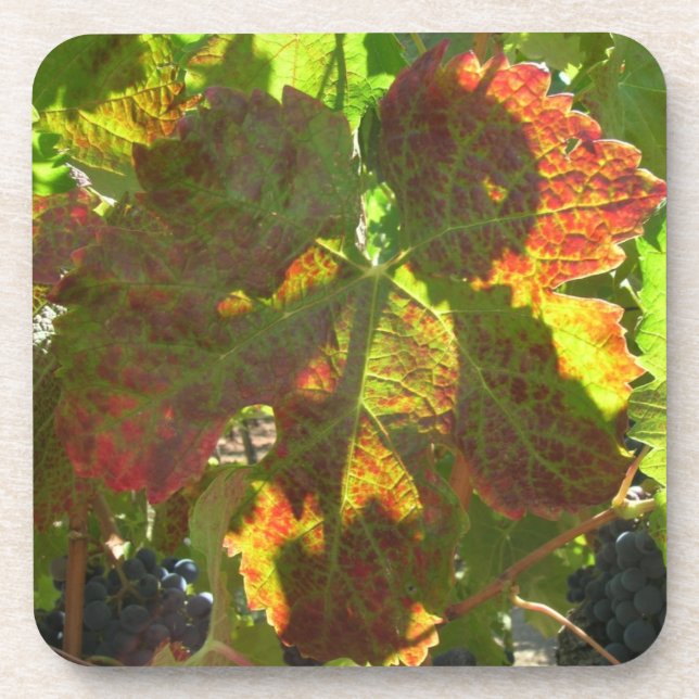 Coaster set - Grape leaf (Front)