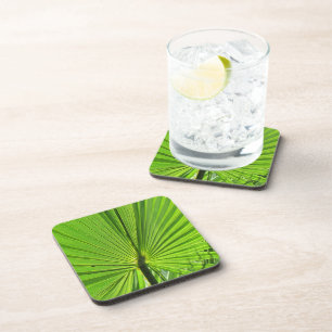Coaster Set - Green Palm Leaf