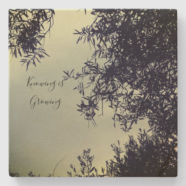 Coaster style design (Front)