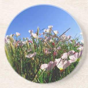 Coaster - Wildflowers