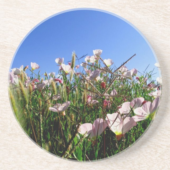 Coaster - Wildflowers (Front)
