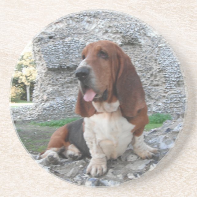 Coaster With Basset Hound Castle Ruin Visit (Front)