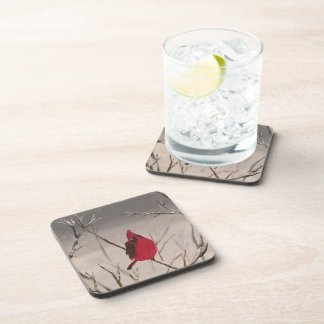 Coaster with Cardinals