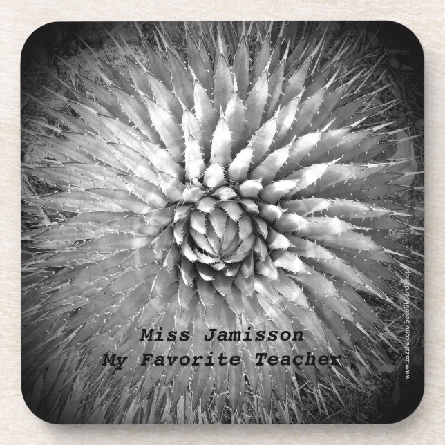 Coasters Set of 6 Agave Spikes Black and White B&W (Front)