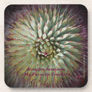 Coasters, Set of 6, Agave Spikes Southwest Coaster