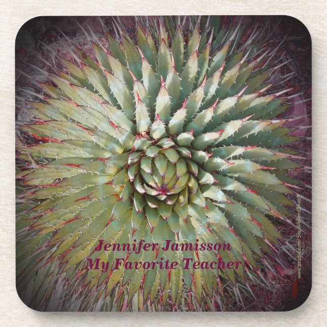 Coasters, Set of 6, Agave Spikes Southwest Coaster (Front)