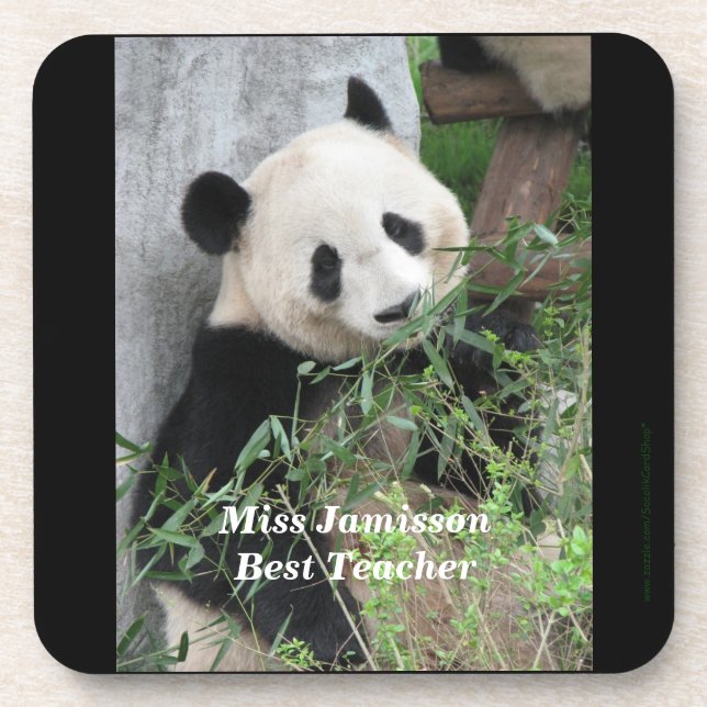 Coasters, Set of 6, Panda, Best Teacher Coaster (Front)