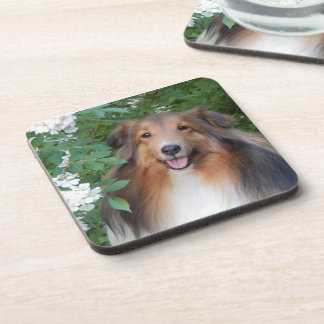 Coasters - set of 6 - with Sheltie