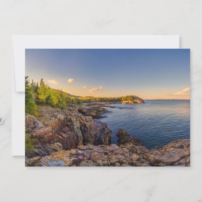 Coastline | Acadia National Park, Schooner Head Thank You Card (Front)