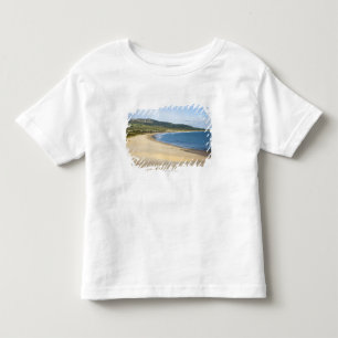 Coastline Beach Along The Coast Near Tarifa Toddler T-Shirt