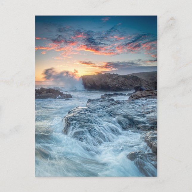 Coastline | Carmel California Postcard (Front)