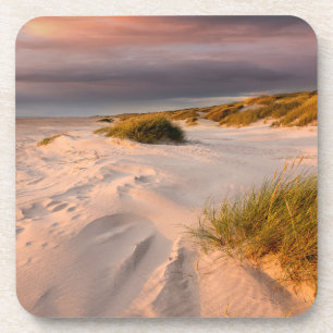 Coastline Saltum Beach, Denmark Coaster
