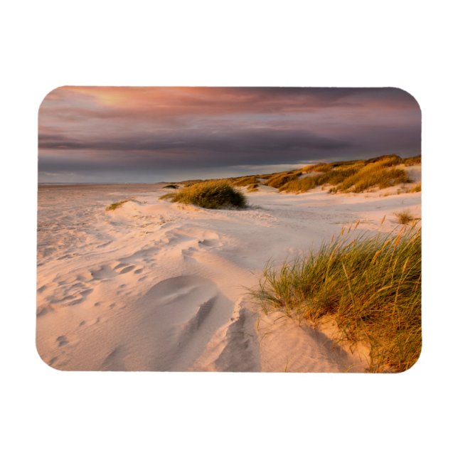 Coastline | Saltum Beach, Denmark Magnet (Horizontal)