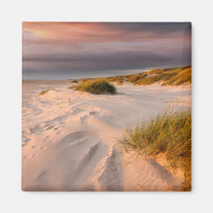 Coastline Saltum Beach, Denmark Magnet