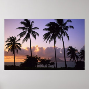 Coastline St. Kitts Poster