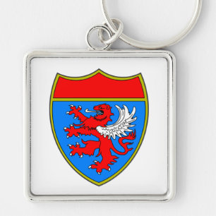 Coat of Arms Lion Shield Key Ring