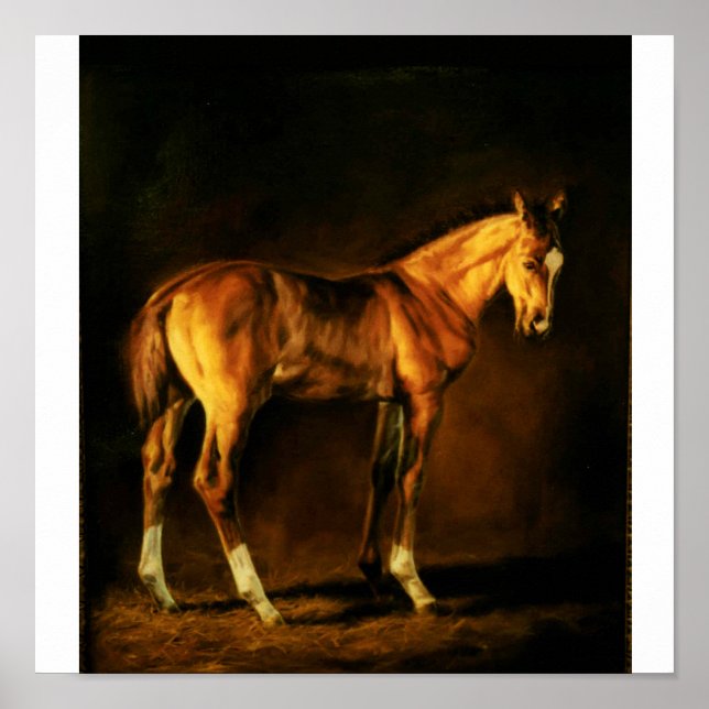 "COAT OF MANY COLORS" BY LONNI CLARKE POSTER (Front)