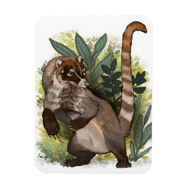 Coatamundi or White Nosed Coati Magnet (Vertical)