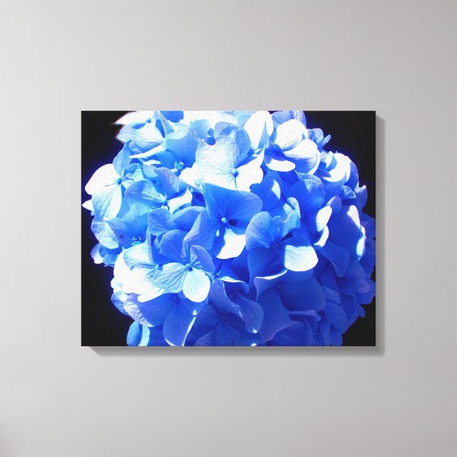 Cobalt blue floral elegant blue hydrangeas  canvas print (Front)
