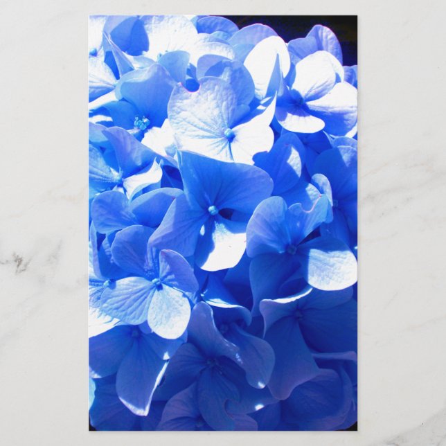 Cobalt blue floral elegant blue hydrangeas  stationery (Front)