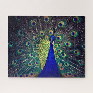 Cobalt Blue Peacock Jigsaw Puzzle