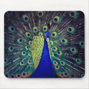 Cobalt Blue Peacock Mouse Pad