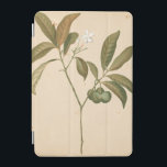 Cobalt Deco Panel I iPad Mini Cover<br><div class="desc">Cobalt Deco Panel I by Chariklia Zarris</div>