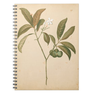 Cobalt Deco Panel I Notebook