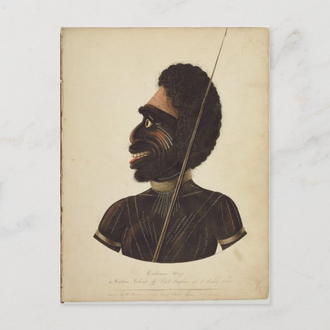 Cobbawn Wogi, native chief of Port Stephen Postcard (Front)