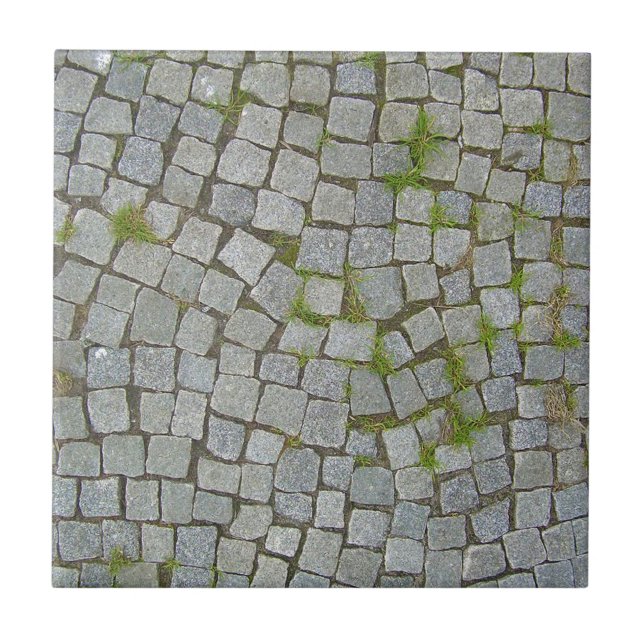 Cobblestone Road Texture Background Tile (Front)