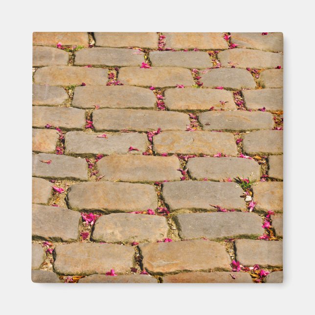 Cobblestone Walking Detail Magnet (Front)