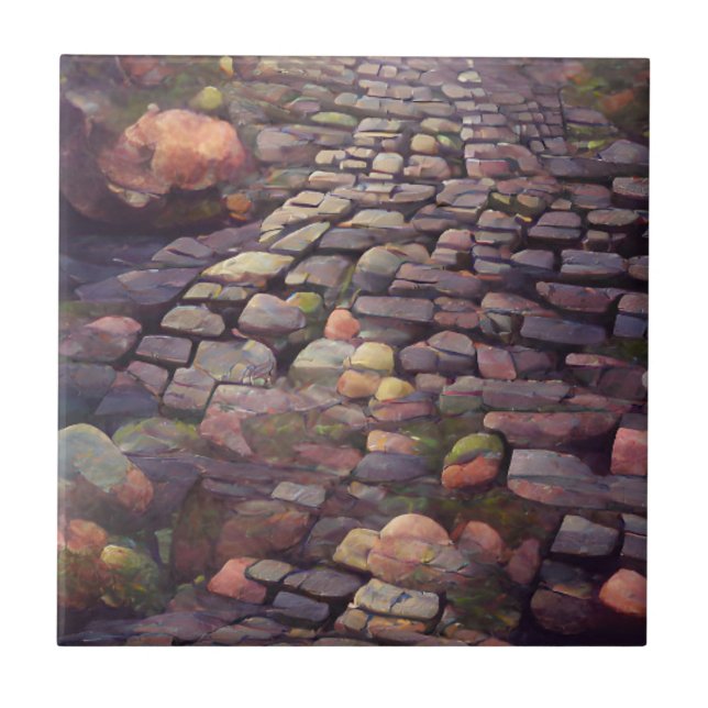 Cobblestones mossy stones graphic art tile (Front)