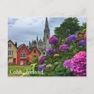 Cobh Ireland, Hydrangeas, Postcard